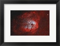Tadpole Nebula II Fine Art Print