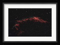 NGC 6992, The Eastern Veil Nebula Fine Art Print