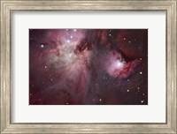 A view of the Trapezium region, which lies in the heart of the Orion Nebula Fine Art Print