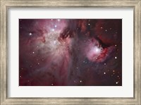 A view of the Trapezium region, which lies in the heart of the Orion Nebula Fine Art Print