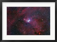 NGC 2264, The Cone Nebula Region Fine Art Print
