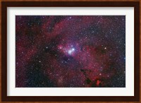 NGC 2264, The Cone Nebula Region Fine Art Print