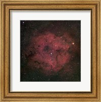 The large IC 1396 emission Nebula complex Fine Art Print