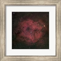 The large IC 1396 emission Nebula complex Fine Art Print