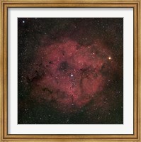 The large IC 1396 emission Nebula complex Fine Art Print