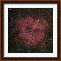 The large IC 1396 emission Nebula complex Fine Art Print