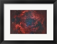 Rosette Nebula I Fine Art Print