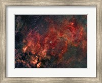 Widefield view of the Crescent Nebula Fine Art Print