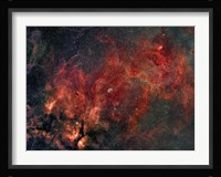 Widefield view of the Crescent Nebula Fine Art Print
