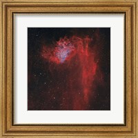Flaming Star Nebula I Fine Art Print