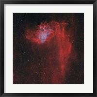 Flaming Star Nebula I Fine Art Print
