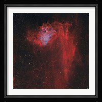 Flaming Star Nebula I Fine Art Print