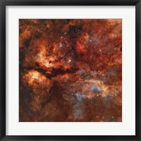 IC 1318 and the Butterfly Nebula around star Gamma-Cygni Fine Art Print