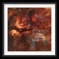 IC 1318 and the Butterfly Nebula around star Gamma-Cygni Fine Art Print