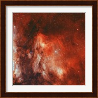Pelican Nebula II Fine Art Print