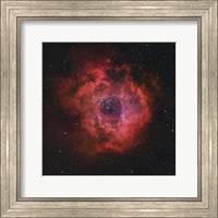 Rosette Nebula III Fine Art Print