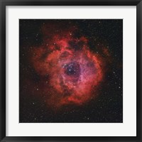 Rosette Nebula III Fine Art Print