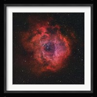 Rosette Nebula III Fine Art Print