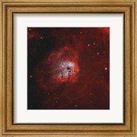 Tadpole Nebula I Fine Art Print