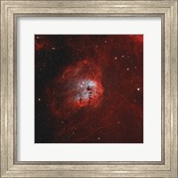 Tadpole Nebula I Fine Art Print