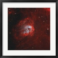 Tadpole Nebula I Fine Art Print