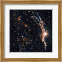Witch's Broom Nebula (NGC 6960), and part of the Veil Nebula Fine Art Print