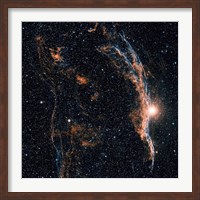 Witch's Broom Nebula (NGC 6960), and part of the Veil Nebula Fine Art Print