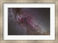 North America Nebula and dark Nebulae in Cygnus I Fine Art Print