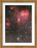 Bat Nebula (IC 2948) and open star cluster NGC 3766, the Pearl Cluster Fine Art Print
