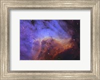 Pelican Nebula I Fine Art Print