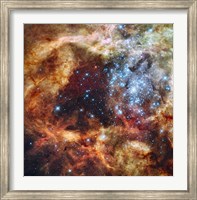 Stellar nursery known as R136 in the 30 Doradus Nebula Fine Art Print