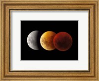 Composite image of lunar Eclipse, Victoria, Australia Fine Art Print