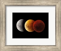 Composite image of lunar Eclipse, Victoria, Australia Fine Art Print