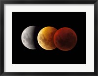 Composite image of lunar Eclipse, Victoria, Australia Fine Art Print