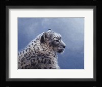 Sittin Pretty Fine Art Print