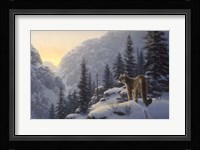 A Lot Of Cat Fine Art Print