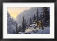 A Lot Of Cat Fine Art Print