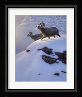 Canyon Shadows Fine Art Print