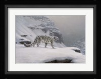 Winter's Solitude Fine Art Print