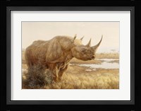 Savannah Sunset Fine Art Print