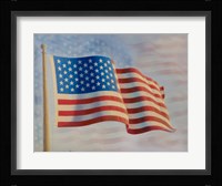 American Flag 5 Fine Art Print