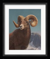 High In The Rockies Fine Art Print