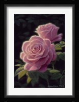 Sunset Glow Fine Art Print