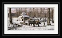 Sugar Bush Fine Art Print