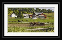 While The Sun Shines Fine Art Print