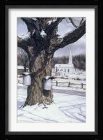 Valley Motif Fine Art Print