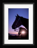 Morning Glory Fine Art Print