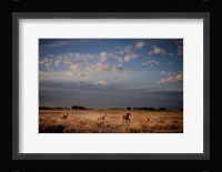 Open Spaces Fine Art Print