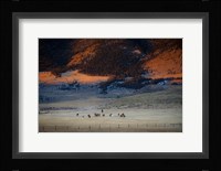 Rusher Ranch Fine Art Print