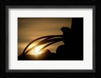 Starting the Day Fine Art Print